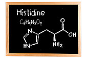 Chemical composition of histidine, conceptual image