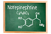 Chemical composition of norepinephrine, conceptual image