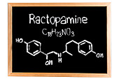 Chemical composition of ractopamine, conceptual image