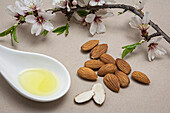 Almonds, spoon of almond oil and almond flowers
