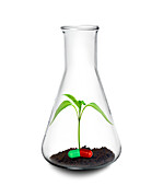 Botanical research for new drugs, conceptual image