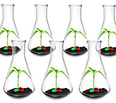 Botanical research to find new medications, conceptual image