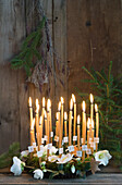 Advent wreath made of moss with 24 honey whip candles and Christmas roses