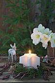 Star candle in a wreath of spruce and birch surrounded by Christmas roses and a deer figurine