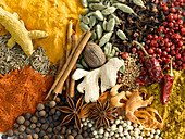 Various spices (filling the picture)
