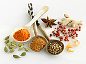 Various spices on spoons and on a light background