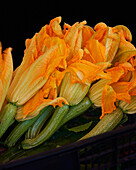 Lots of courgette flowers
