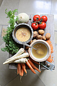 Vegetable broth and pureed vegetable soup