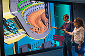 People looking at 3D model of components of fusion tokamak