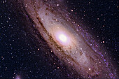 Core of the Andromeda galaxy
