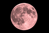 Pink full Moon