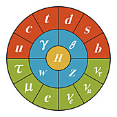 Standard model of particle physics, illustration