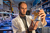 Lab-grown corals