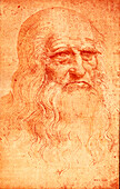 Self portrait of Leonardo da Vinci, Italian artist