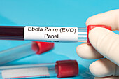 Ebola lab panel