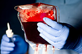 Nurse preparing donor IV blood unit for transfusion