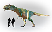 Humans compared to Giganotosaurus