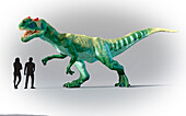 Humans compared in scale to Allosaurus