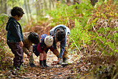 Curious brothers and sister looking down on trail in woods