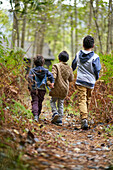 Boys walking on trail in woods
