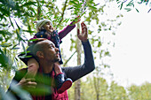 Daughter on shoulders of father reaching for branch on hike