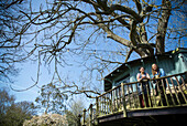 Young women friends on sunny tree house balcony