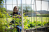 Young woman gardening at trellis in garden