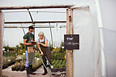 Plant nursery owners in face masks working in greenhouse