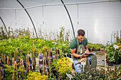 Male plant nursery owner with clipboard in greenhouse
