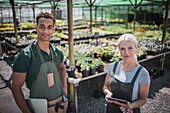 Plant nursery owners in sunny greenhouse