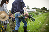 Family harvesting vegetables