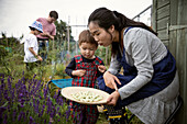 Mother and toddler son with fresh beans on allotment