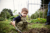 Cute toddler boy gardening