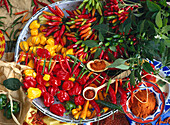 Different kinds of fresh chillies