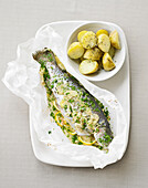 Baked trout in paper