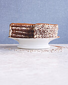 Chocolate tiramisu cake, sliced