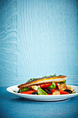 Lemon and dill bream with ciabatta tomato and olive salad