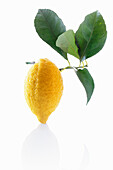 A lemon with leaves on a white surface