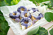 Vegan cinnamon donuts with lilac syrup, topped with marble icing