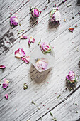 Ice cubes with rosebuds