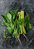 Frisches grünes Gemüse (Japanischer Senfspinat, Spargel)