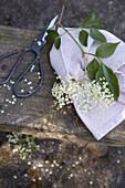 Elderflower with cloth and scissors on a wooden stool