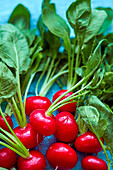 Fresh radishes