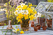 Gelbe und weisse Narzissen in Vase, (Narcissus), Blumendekoration