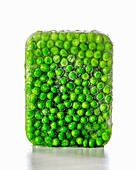 Peas in an ice block
