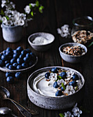 Granola with yogurt and blueberries
