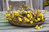 Blumenkranz aus Winterjasmin (Jasmimum nudiflorum)