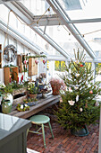 Winter garden with Christmas decorations and fir tree