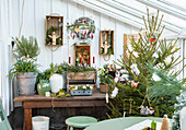 Winter garden decorated for Christmas with branches and candles with a Christmas tree