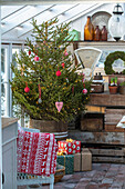 Decorated Christmas tree and presents in the greenhouse